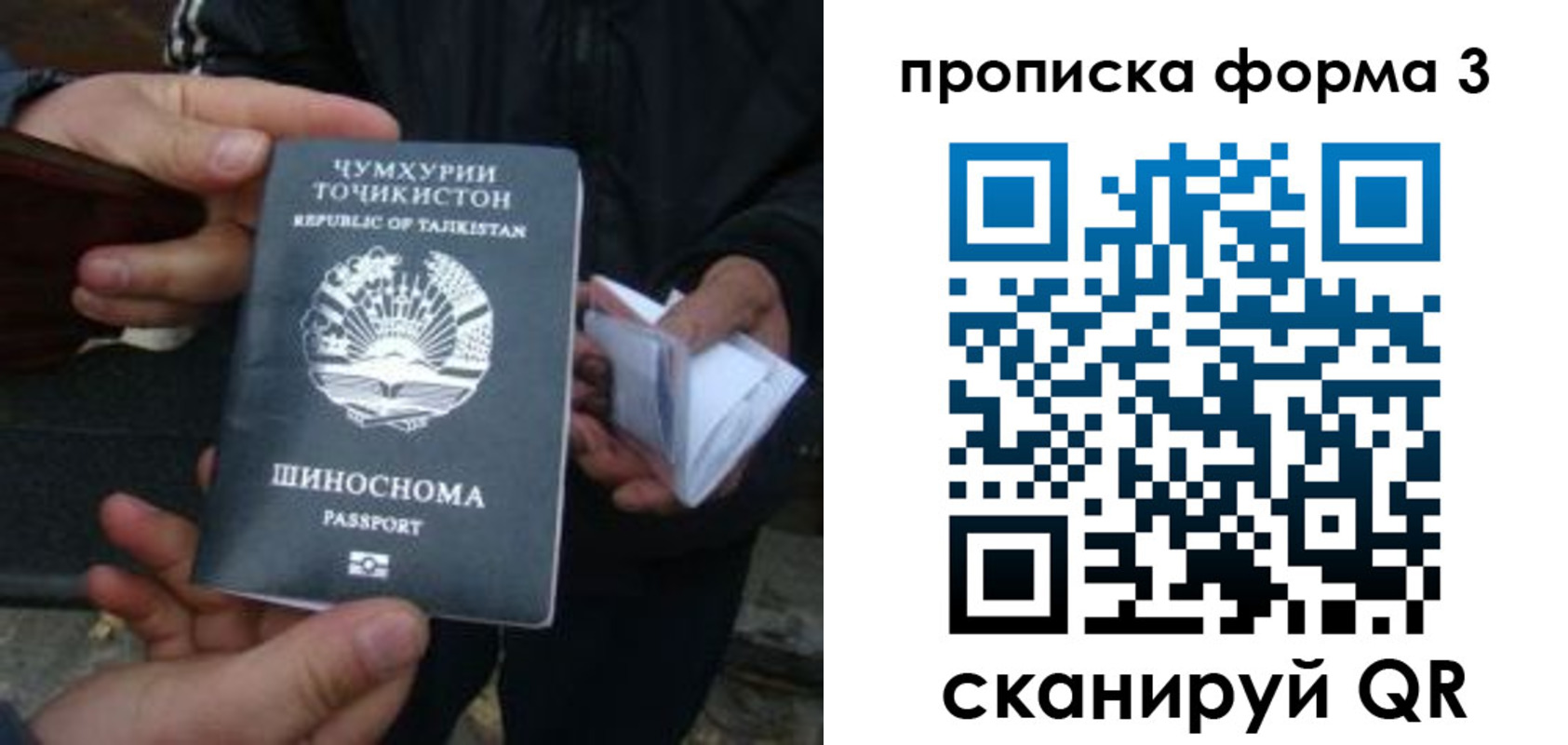 прописка 2025 в Никольске